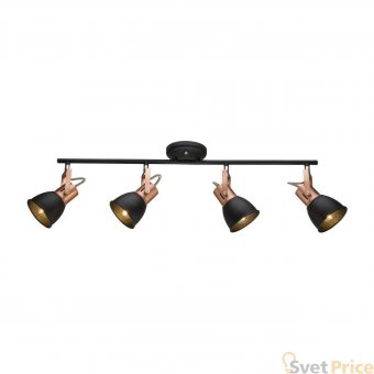 Спот Arte Lamp A1677PL-4BK