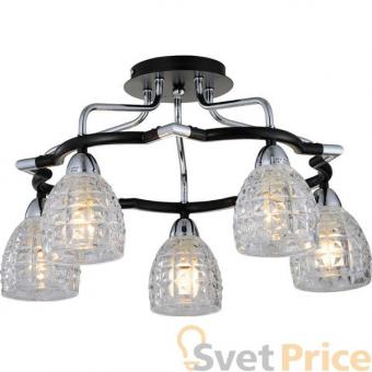 Люстра N-Light 412-05-63CDW