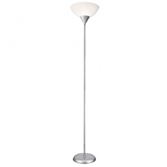 Торшер Arte Lamp Duetto A9569PN-1SI