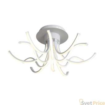 Потолочный светодиодный светильник ST Luce Finde SL826.502.12