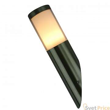 Уличный настенный светильник Arte Lamp Paletto A8262AL-1SS