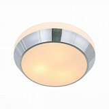 Потолочный светильник ST Luce Bagno SL469.502.03