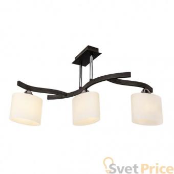 Потолочная люстра Silver Light Astoria 234.59.3