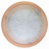 Настенно-потолочный светодиодный светильник Toplight Agatha TL9260Y-00PN