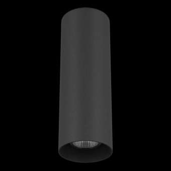 Потолочный светильник Lightstar Rullo 216497