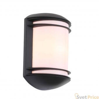 Уличный настенный светильник ST Luce Agio SL076.401.01