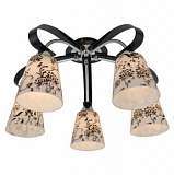 Потолочная люстра Lussole Lgo GRLSP-0101