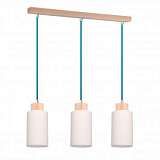 Подвесной светильник Spot Light Bosco 1713360