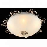 Потолочный светильник Maytoni Speria CL900-05-G