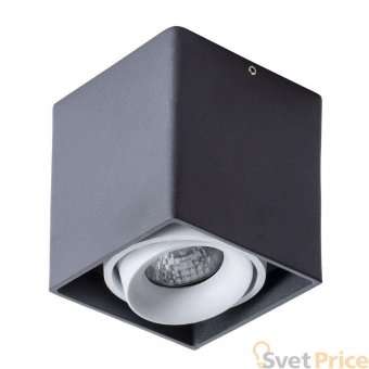 Потолочный светильник Arte Lamp Pictor A5654PL-1BK