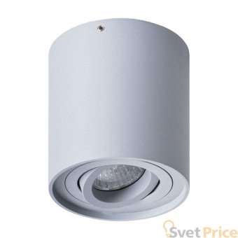Потолочный светильник Arte Lamp Falcon A5645PL-1GY
