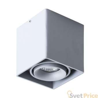 Потолочный светильник Arte Lamp Pictor A5654PL-1GY