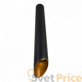 Потолочный светильник Arte Lamp Pilon-Gold A1537PL-1BK