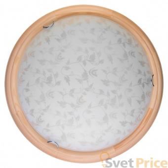 Настенно-потолочный светодиодный светильник Toplight Beatrice TL9280Y-00PN