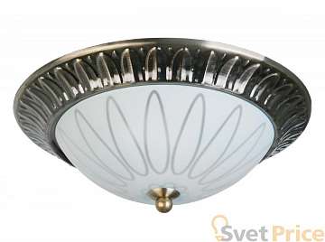 Накладной светильник Toplight Paulina TL5050Y-02AB