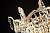 Настенный светильник Maytoni Versailles DIA585-WB01-WG