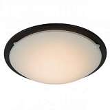 Потолочный светодиодный светильник Lucide Rune 79178/08/30