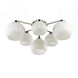 Потолочная люстра Odeon Light Micca 3971/6C