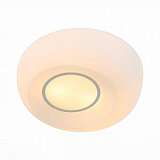 Потолочный светильник ST Luce Botone SL467.502.02