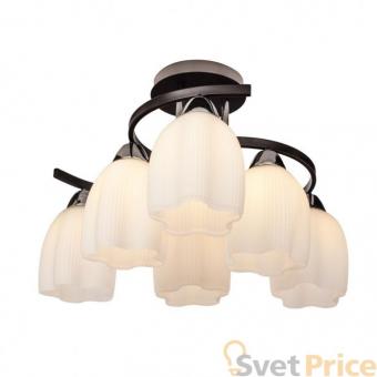 Потолочная люстра Silver Light Meduse 102.59.6