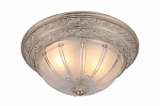 Потолочный светильник Arte Lamp Piatti A8014PL-2WA