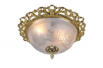 Потолочный светильник Arte Lamp Piatti A8002PL-2GO