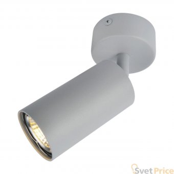 Спот Arte Lamp A3216PL-1GY