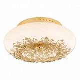 Потолочный светильник Arte Lamp Zucca A9111PL-4GO