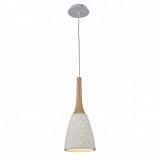 Подвесной светильник ST Luce SL288.503.01