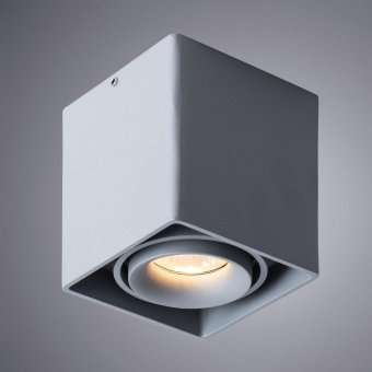 Потолочный светильник Arte Lamp Pictor A5654PL-1GY
