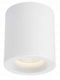 Потолочный светильник Arte Lamp Ugello A3124PL-1WH