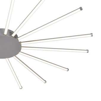 Потолочный светодиодный светильник Favourite Aster 2379-16U