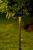 Уличный светильник LD-Lighting LD-P008 страна Испания Уличный светильник LD-Lighting LD-P008