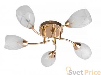 Потолочная люстра Toplight Lucy TL7120X-05FG