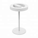 Настольная лампа Eglo Alvendre S 95906