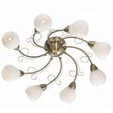 Потолочная люстра Odeon Dovera 2470/8C