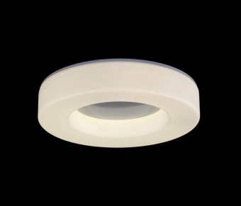 Потолочный светильник ST Luce Lordin SL886.512.01