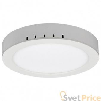 Накладной светодиодный светильник Elektrostandard DLR020 24W 4200K 4690389084577