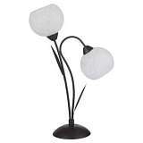 Настольная лампа Lussole Bagheria GRLSF-6294-02