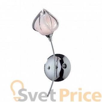 Бра N-Light 838-01-01