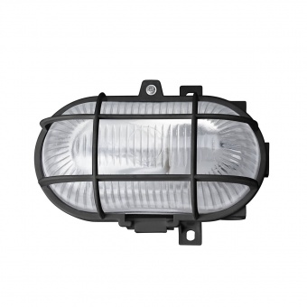 Уличный настенный светильник Brilliant Elton 96184/06