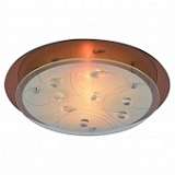 Потолочный светильник Arte Lamp A4043PL-2CC