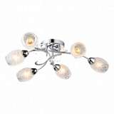 Потолочная люстра Arte Lamp Debora A6055PL-6CC