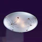 Потолочный светильник Sonex Floret 249