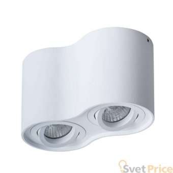 Потолочный светильник Arte Lamp Falcon A5645PL-2WH