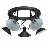Потолочная люстра MW-Light Таун 4 691012105