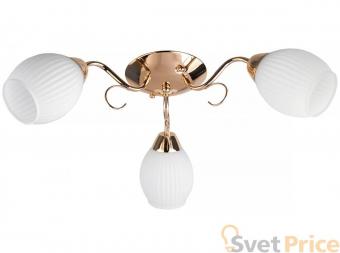 Потолочная люстра Toplight Kristin TL3520X-03FG