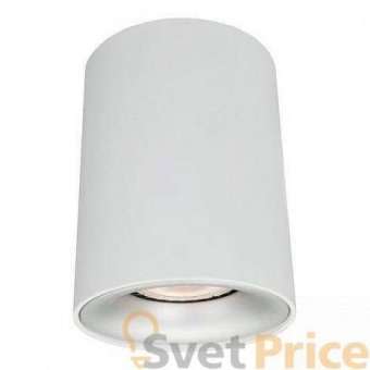 Потолочный светильник Arte Lamp Torre A1532PL-1WH