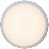 Потолочный светильник Brilliant Vigor G94154/05