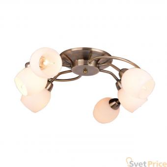 Потолочная люстра Arte Lamp Silvana A4033PL-6AB